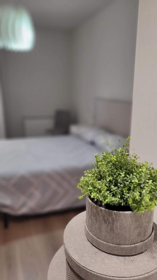 Apartamento Palacio De Los Toledo Корелья Экстерьер фото